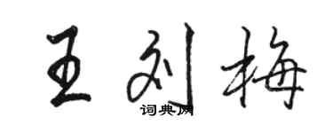 駱恆光王劉梅行書個性簽名怎么寫