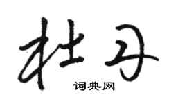 駱恆光杜丹草書個性簽名怎么寫