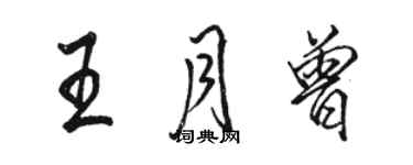 駱恆光王月曾行書個性簽名怎么寫