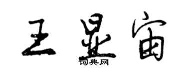 曾慶福王顯宙行書個性簽名怎么寫