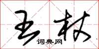 朱錫榮王杖草書怎么寫