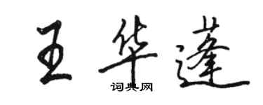 駱恆光王華蓬行書個性簽名怎么寫