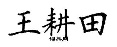 丁謙王耕田楷書個性簽名怎么寫