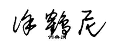 朱錫榮徐鶴尼草書個性簽名怎么寫