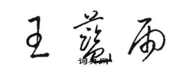 駱恆光王藍雨草書個性簽名怎么寫