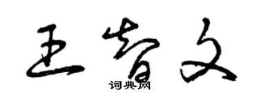 曾慶福王智文草書個性簽名怎么寫