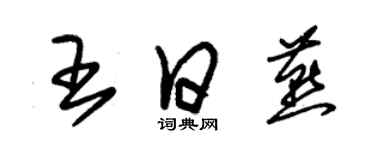 朱錫榮王日燕草書個性簽名怎么寫