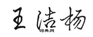 駱恆光王潔楊行書個性簽名怎么寫