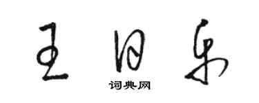 駱恆光王日樂草書個性簽名怎么寫