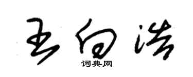 朱錫榮王向浩草書個性簽名怎么寫