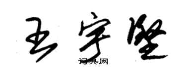 朱錫榮王宇堅草書個性簽名怎么寫