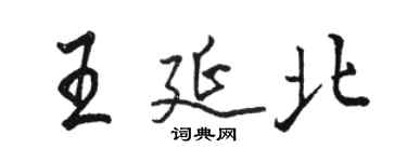 駱恆光王延北行書個性簽名怎么寫