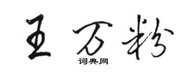 駱恆光王萬粉行書個性簽名怎么寫