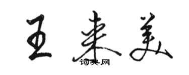 駱恆光王來美行書個性簽名怎么寫