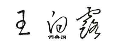 駱恆光王白露草書個性簽名怎么寫