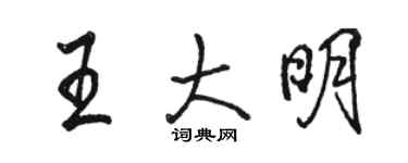 駱恆光王大明行書個性簽名怎么寫