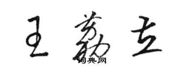 駱恆光王荔立草書個性簽名怎么寫