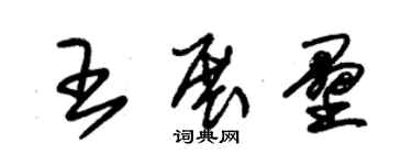 朱錫榮王展壘草書個性簽名怎么寫