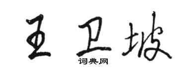駱恆光王衛坡行書個性簽名怎么寫