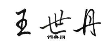 駱恆光王世丹行書個性簽名怎么寫
