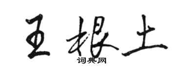 駱恆光王根土行書個性簽名怎么寫