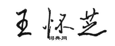 駱恆光王懷芝行書個性簽名怎么寫