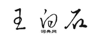 駱恆光王白石草書個性簽名怎么寫