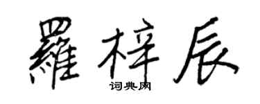 王正良羅梓辰行書個性簽名怎么寫