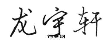 駱恆光龍宇軒行書個性簽名怎么寫