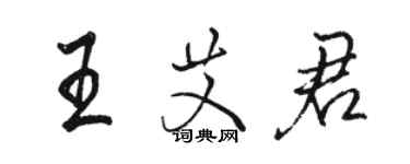 駱恆光王艾君行書個性簽名怎么寫