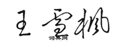 駱恆光王雪楓草書個性簽名怎么寫