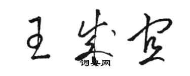 駱恆光王成宜草書個性簽名怎么寫