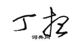 駱恆光丁想草書個性簽名怎么寫