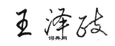 駱恆光王澤政行書個性簽名怎么寫