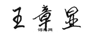 駱恆光王章顯行書個性簽名怎么寫