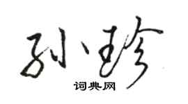 駱恆光孫珍行書個性簽名怎么寫