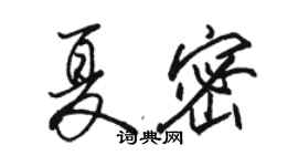 駱恆光夏密行書個性簽名怎么寫