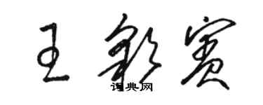 駱恆光王彩賓草書個性簽名怎么寫