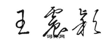 駱恆光王震穎草書個性簽名怎么寫