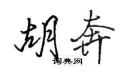 駱恆光胡奔行書個性簽名怎么寫