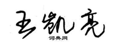 朱錫榮王凱亮草書個性簽名怎么寫