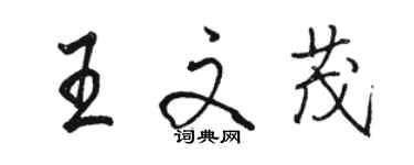 駱恆光王文茂行書個性簽名怎么寫