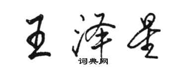 駱恆光王澤星行書個性簽名怎么寫