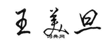 駱恆光王美旦行書個性簽名怎么寫