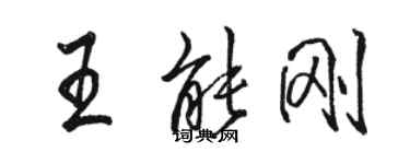 駱恆光王能剛行書個性簽名怎么寫