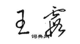 駱恆光王霞草書個性簽名怎么寫