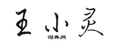 駱恆光王小靈行書個性簽名怎么寫