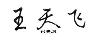 駱恆光王天飛行書個性簽名怎么寫