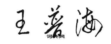 駱恆光王普海草書個性簽名怎么寫