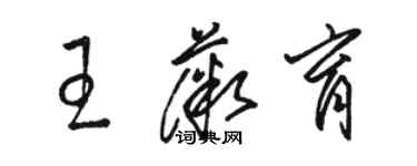 駱恆光王薇育草書個性簽名怎么寫